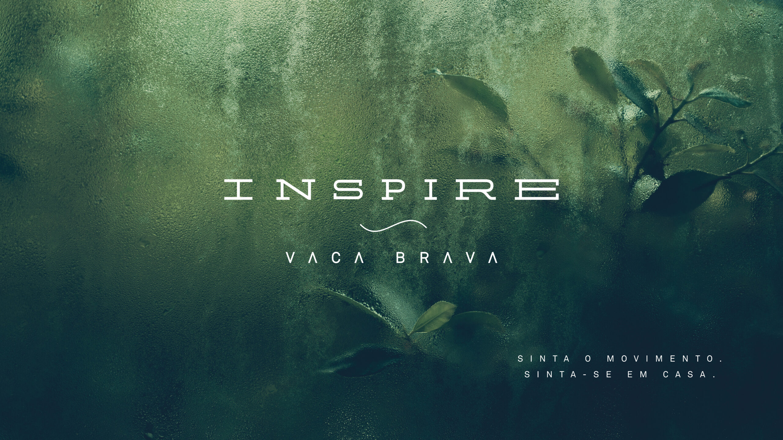 INSPIRE VACA BRAVA INSPIRE VACA BRAVA
